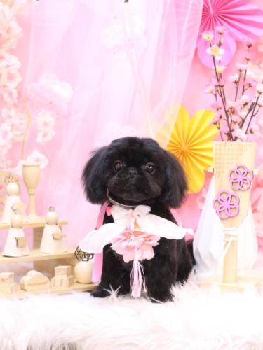 20250320つむぎちゃん